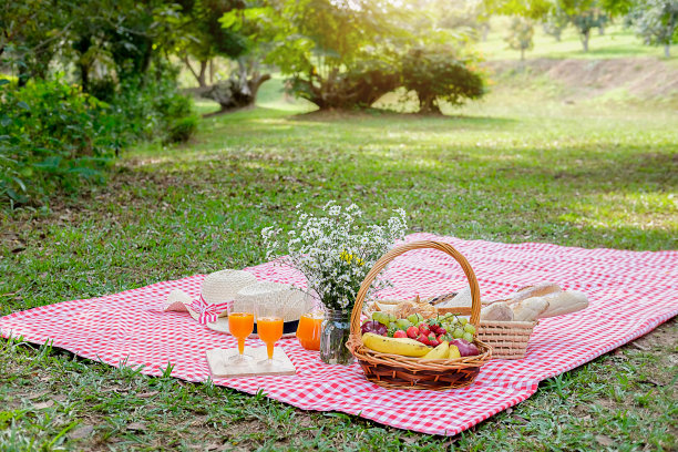 帽子、鲜花和野餐柳条篮子，食物、面包、水果和橙汁放在红白格子布上，以绿色的大自然为背景。野餐的概念。图片下载