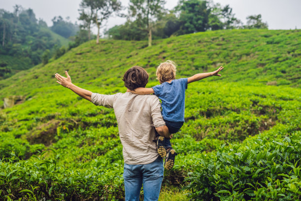 这对父子正在马来西亚的一个茶园里旅行。与孩子一起旅行的概念图片下载