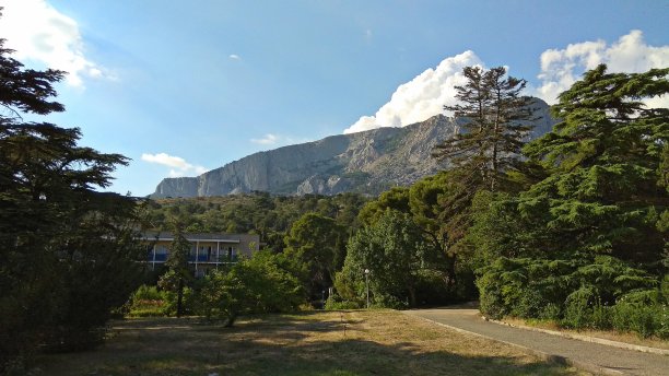 郁郁葱葱，风景如画的公园，在山上。图片下载