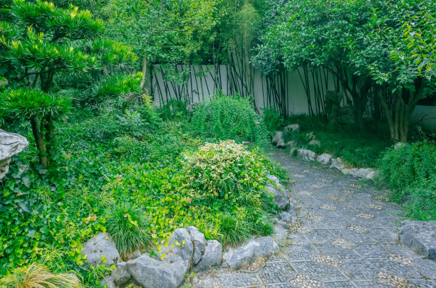 中国杭州西湖附近的中国传统园林中的树间小路图片下载