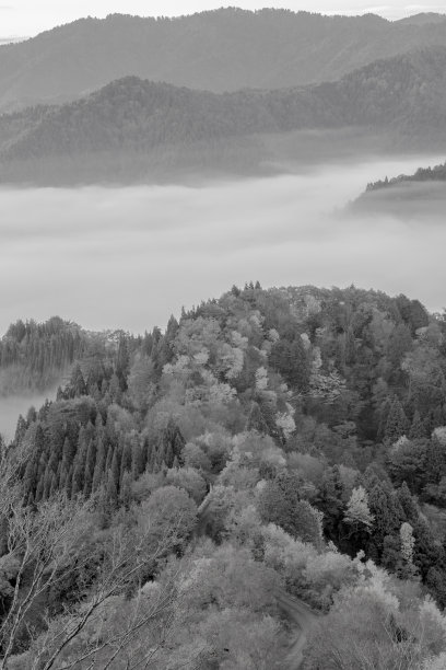 (单色)日本的云海图片下载
