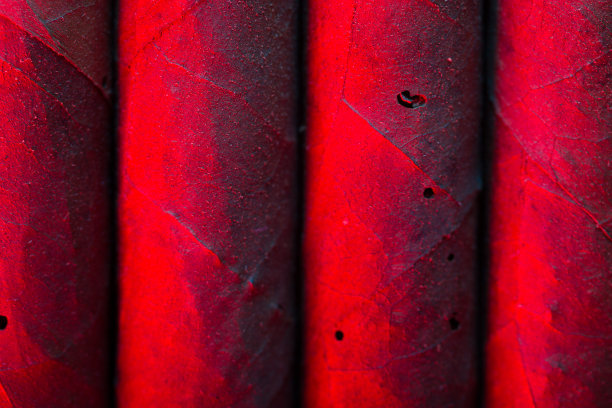 雪茄的特写图片下载