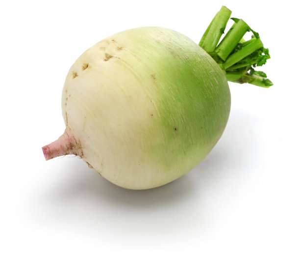 西瓜萝卜，中国红肉萝卜图片下载