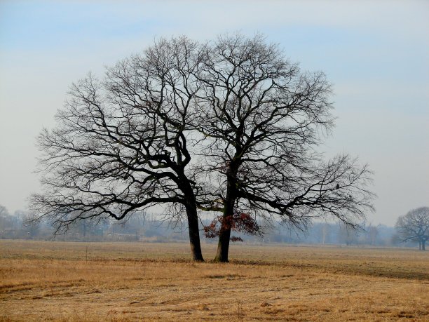 聚在一起我们会很坚强图片下载