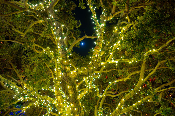 圣诞装饰晚上在户外图片下载