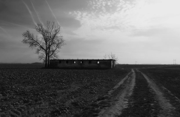 旧的废弃的农村废墟的砖房在农田里图片下载