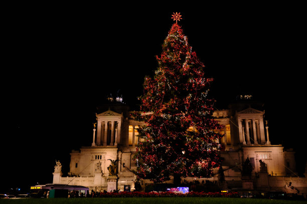 罗马的圣诞树图片下载