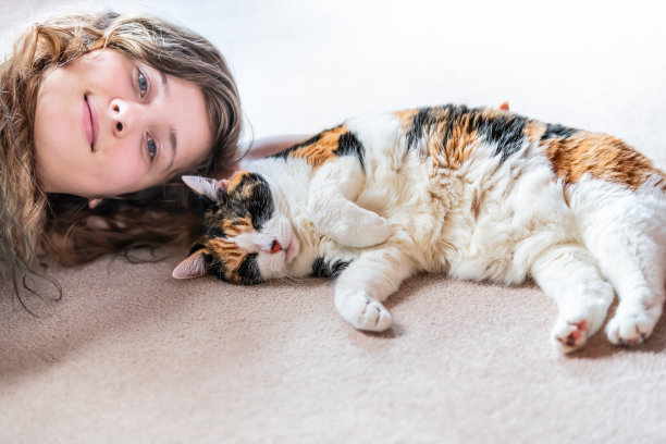 特写印花布猫的一边，爪子躺在地毯地板上一起快乐，微笑的女人，女性的主人，摩擦，爱抚回家，房子，公寓房间图片下载