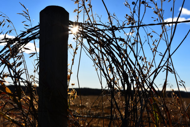 铁丝网栅栏剪影图片下载