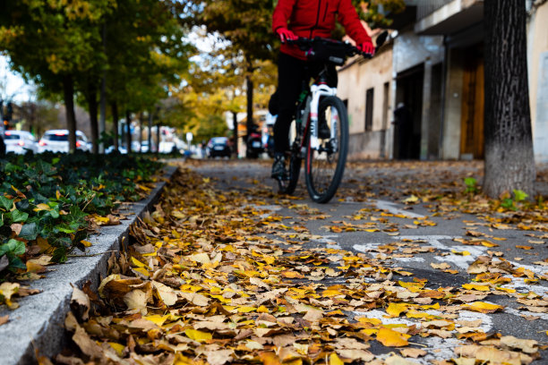 秋天的叶子图片下载