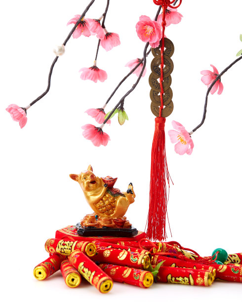 圣诞和新年装饰礼盒销售猪2019年农历新年和中国新年的白色背景图片下载