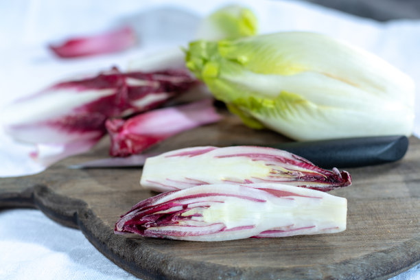 一组新鲜的绿色比利时菊苣或菊苣和红色菊苣蔬菜，也被称为witlof沙拉图片下载