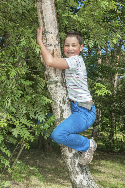 小男孩在爬树图片下载