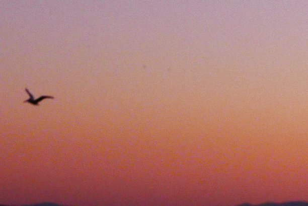 太平洋上空的穆迪天空图片下载