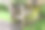 饱经风霜的长椅上图片下载