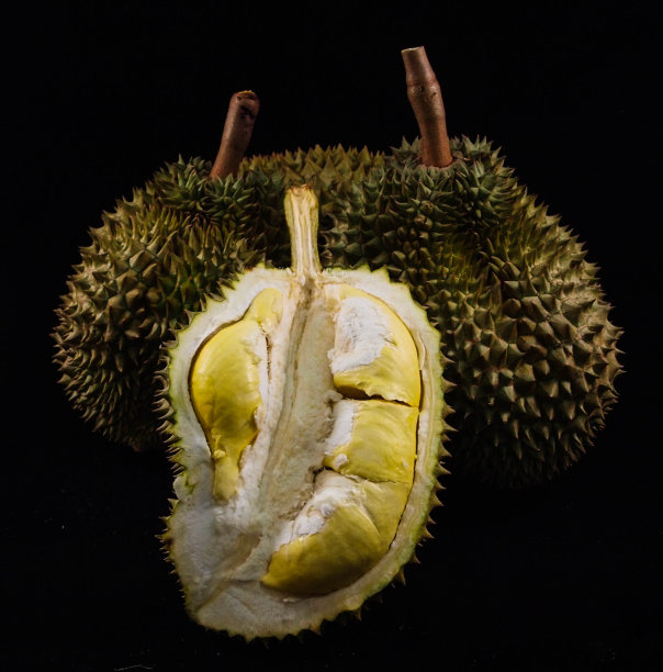 半个月的榴莲果实图片下载