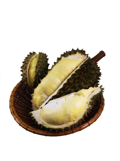 在白色背景上分离月檬榴莲图片下载