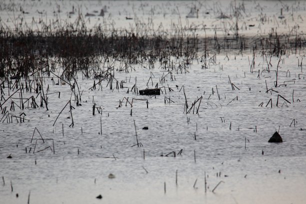 冬天的湖图片下载