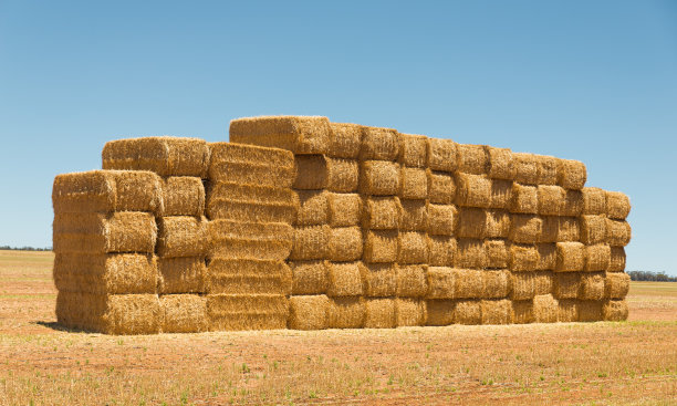 在澳大利亚农村堆放干草墙。农业农业景观图片下载