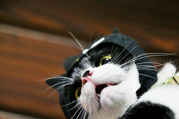 生活的事情图片下载