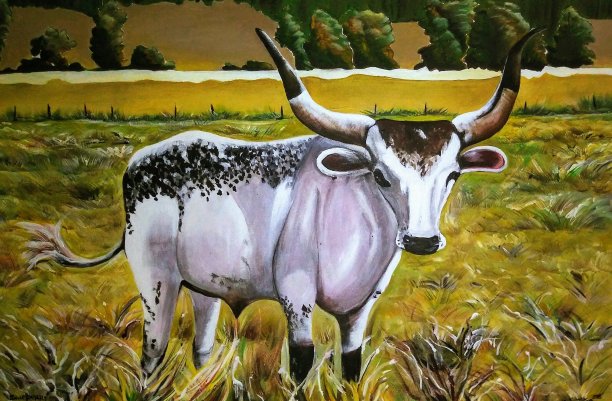 瓦图西图片下载