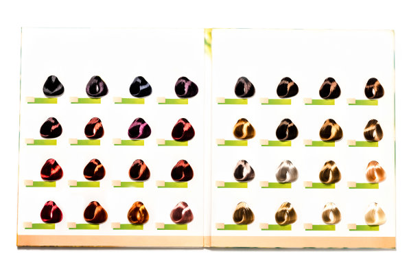 顶视图的头发调色板孤立的白色图片下载