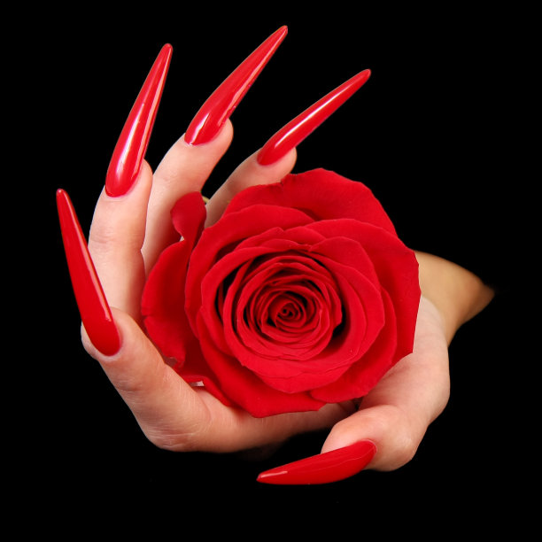 漂亮女人的手与完美的涂指甲孤立在黑色背景图片下载