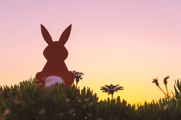 创意复活节概念照片剪影纸兔子在洋甘菊花和绿色草地上的日落天空背景。图片下载