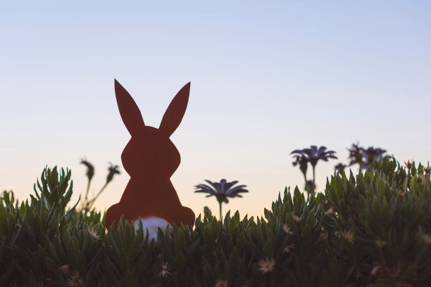 创意复活节概念照片剪影纸兔子在洋甘菊花和绿色草地上的日落天空背景。图片下载