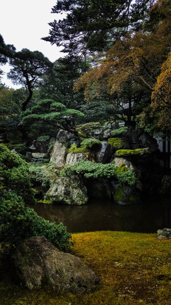 禅宗花园和绿色图片下载