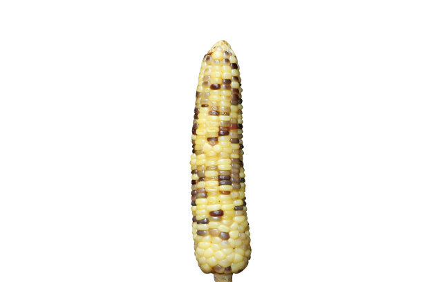 纹理亚洲玉米图片下载