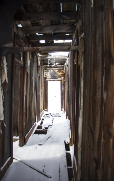 从一间废弃小屋的窗户往外看图片下载