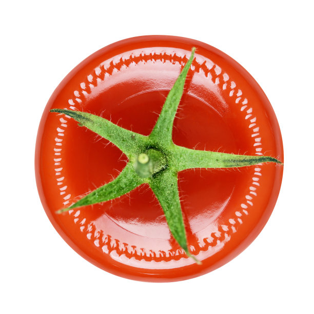 番茄酱瓶底带茎和叶图片下载