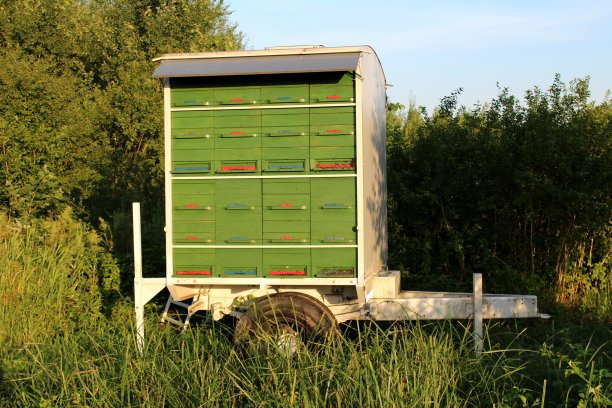 后院木质蜂窝拖车图片下载