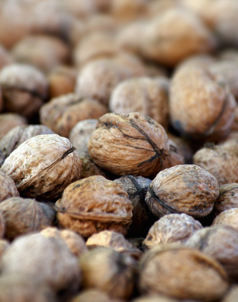 仔细看看核桃。图片下载