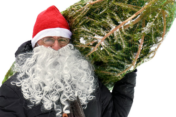 一名戴着红色圣诞帽、留着白胡子的男子携带着一棵圣诞树图片下载
