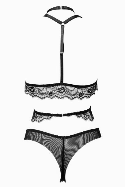 体积模型的女性内衣设置在一个白色孤立的背景图片下载