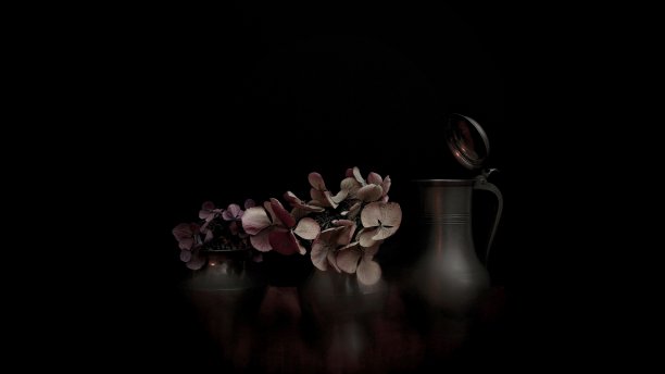 有干绣球花的静物图片下载