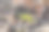 大地上长出了春芽图片下载