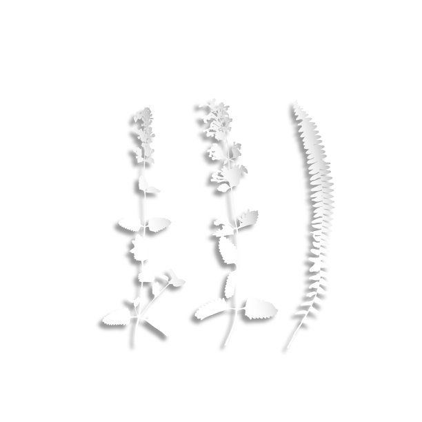 花卉和草本装饰背景。孤立的剪影剪纸风格。带有光影的纸拼贴效果。图片下载