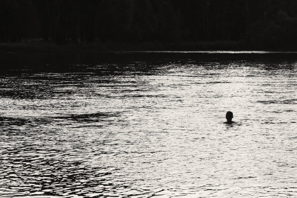 以森林为背景的河中央游泳男子的剪影。阳光反射在水面上呈灰色。河水闪闪发光。单色令人惊叹的大气景观。极简主义的场景。图片下载