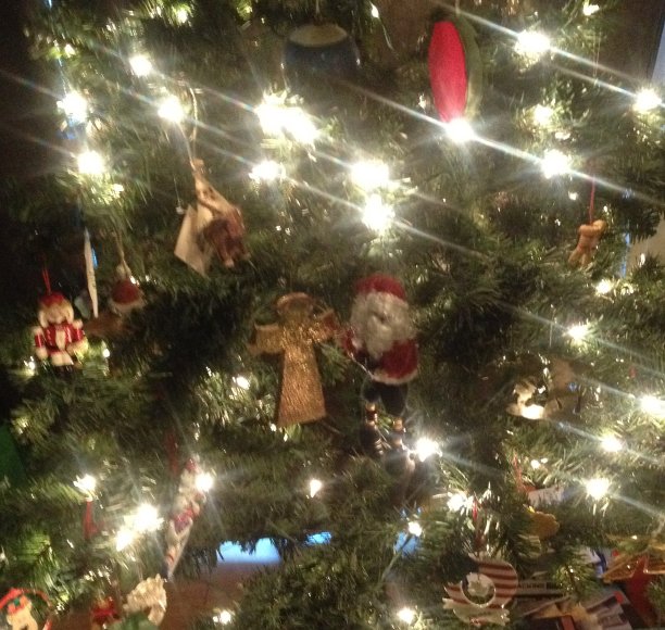 圣诞树图片下载