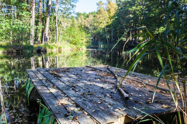 开始冒险邮轮之旅图片下载