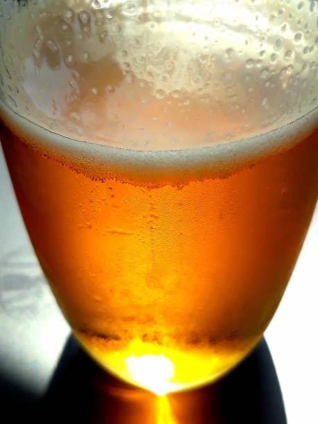 啤酒杯子。图片下载