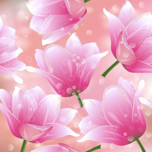 无缝图案与郁金香花。图片下载