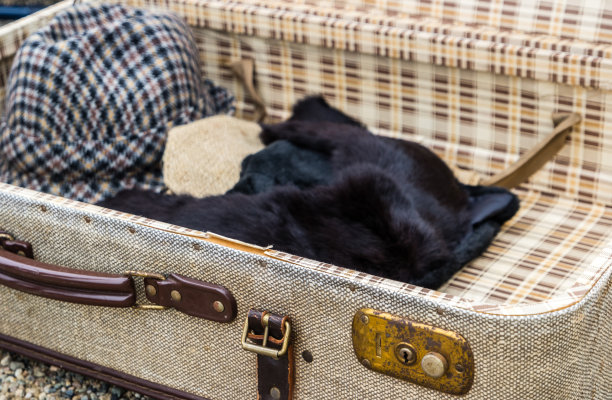 老旅行手提箱图片下载