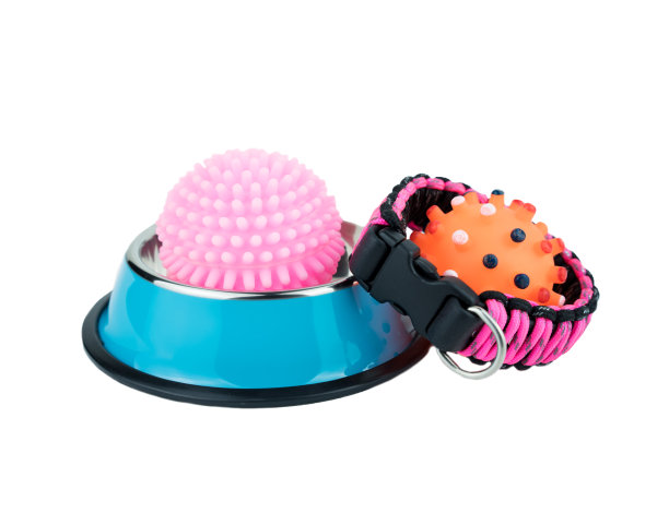 宠物用品的概念。宠物不锈钢碗与玩具和项圈在孤立的白色背景。图片下载