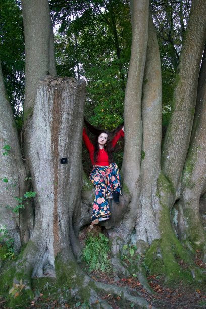 山毛榉树上的时尚女士图片下载