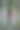 山毛榉树上的时尚女士图片下载