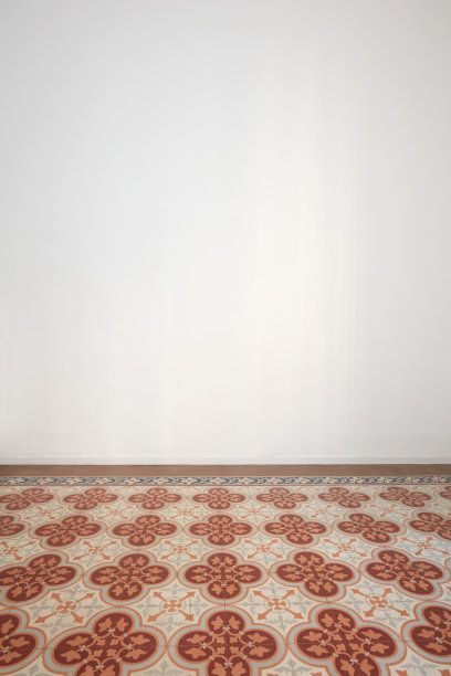 一间装修过的公寓里的空房间，白色的墙壁和古老的瓷砖地板图片下载